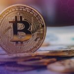 1771056424 image 1771056279555 optimized