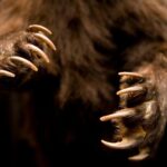 2f98bd054d68f50eb79e1db5690fd86f01a2e311 1440x1080