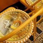 B62MEU5KEXDSFMQ3BV53MNGTKM