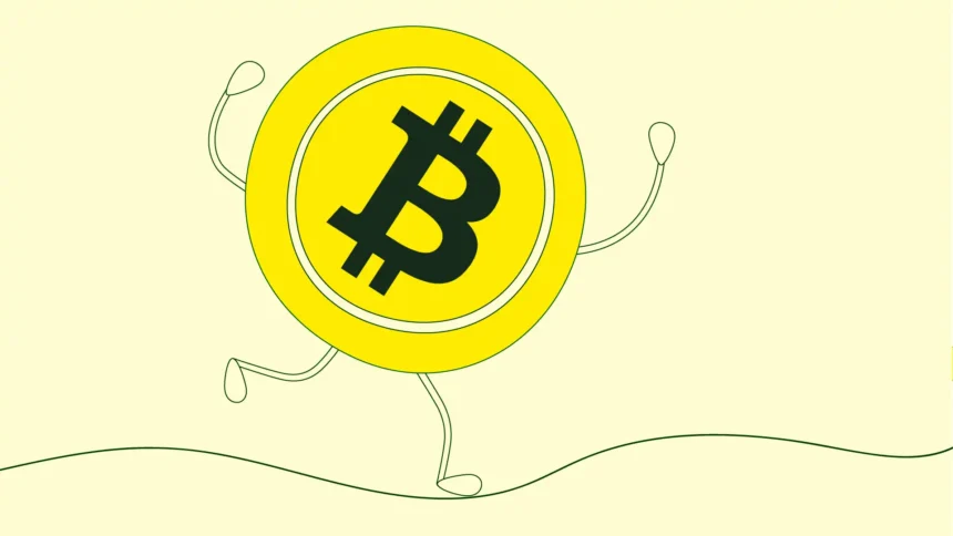 Bitcoin at Risk of Plummeting to $58,000 as Nearly Half of Supply Faces Losses 1 BTC crash.webp