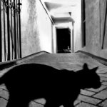 GettyImages 1645492072