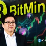 Tom Lees Bitmine.webp