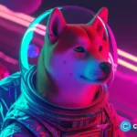 crypto news Doge Moon option02.webp
