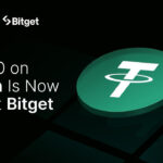 photo 2026 02 16 10 18 58 1771229951RiSz1qJTdi