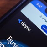 shutterstock 2467444407 46e8cfe8f3