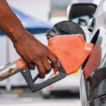 2026 03 17 yrzfvebzis