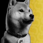 Doge4 gID 7