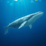 b12cbcfc3511d9aba2a0f08f414265bc2a58d6fb