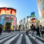 d711b380b2b5bd72ddc9da199a20bc79