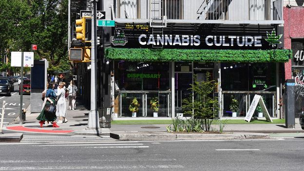 Cannabis Industry Faces Funding Challenges Despite Growing Opportunities in New York 1 p0n8ql0b