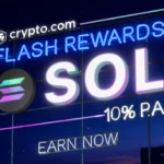 sol content hub.webp