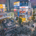 107247756 1685410358793 gettyimages 1490621005 20221119 bot8525