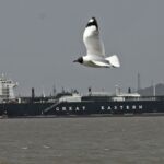 108290215 1776039247396 gettyimages 2268790745 aditya notitle260401 nplvM