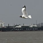 1776343850 108290215 1776039247396 gettyimages 2268790745 aditya notitle260401 nplvM