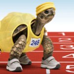 34cd66dc 9c4c 42a2 9172 8cb194bce479