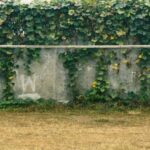 5eacdd73ba72f3eedd0a32373e35b6b74ce1abc9 5472x3080