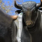 69e252e1a98bc8fdc096bcf5