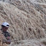 80cffbb0 32a6 11f1 9ddd 14bc15eeeadb