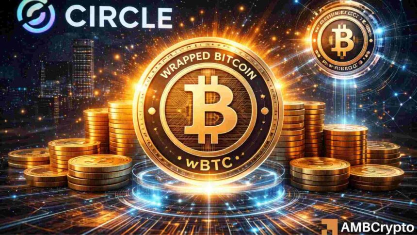 Circle Launches cirBTC to Address Trust Issues in Wrapped Bitcoin Market 1 CirclewrappedBitcoinFI 1 e1775209075293