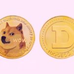 Dogecoin Doge Isolated On White Backgrou