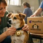 MoonPay the Dogecoin Foundation and its Corporate Arm House of Doge Donate 1 Million DOGE to the 10