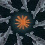 Security Anthropic Getty