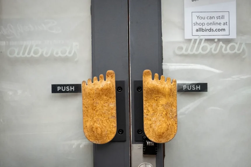 Allbirds Stock Jumps Nearly 600% After Announcing Shift to AI Business Model 1 a322c170 38eb 11f1 a3be b17c07d598e2