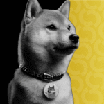 c40307295eb7ad3bae0eea1edec22c1a