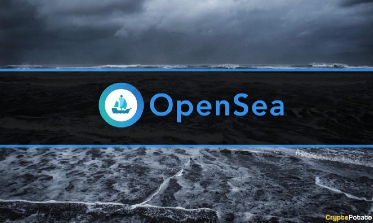 OpenSea CEO Confirms Delay of SEA Token Launch Amid Market Challenges 1 d46a77874a8988a34d357b0742d94def508ffb37