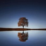 f787a12109e3d6799c8dbfcd5a0dbb05b2252c44 1440x1080