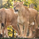 photo 1761471318888 c7f7fe40fa9c