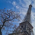 urlhttp3A2F2Fnpr brightspot.s3.amazonaws.com2Fe32Fe42F33ef19204c71b12671aa002d81142Fgettyim