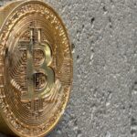 urlhttps3A2F2Fsource media brightspot.s3.us east 1.amazonaws.com2Faa2F572F11adfde94cc7b87649