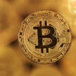 1778083139 articleshow