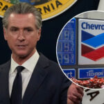 19148229 gavin chevron clean TN img