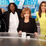 ABC The View