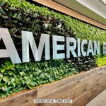 Amex Partner Offer Terms Apply