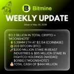 Bitmine Immersion Technologies Inc Weekly Update