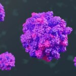 cbsn fusion highly contagious norovirus spreading across the us ahead of holidays thumbnail