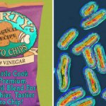thumb snacks salmonella 0014