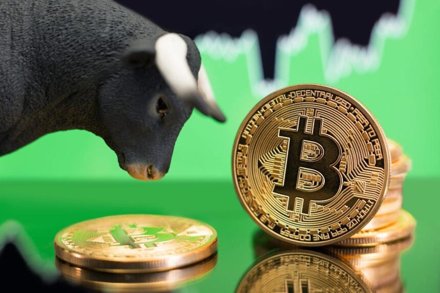 MicroStrategy's Strategy for Long-Term Success Amid Bitcoin Volatility 1 943ad346641dd308a363523402e6cd6c