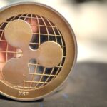 Companies Using Ripple for Cross Border Payments The Full 2026 Picture