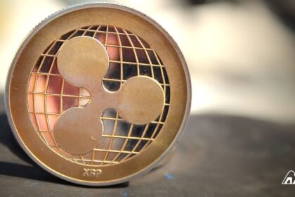 Companies Using Ripple for Cross Border Payments The Full 2026 Picture