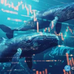 crypto news whale option03